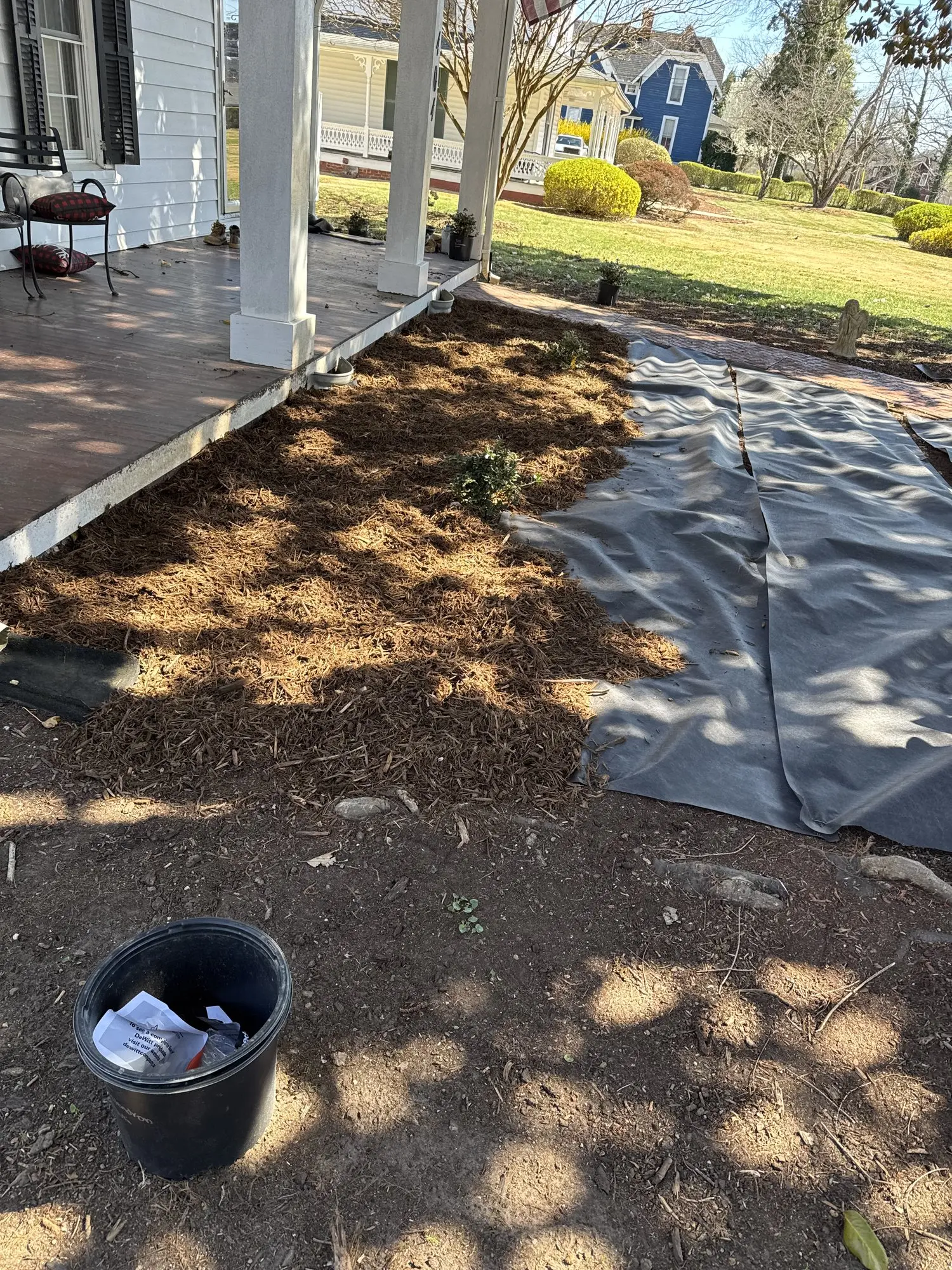 Tree Service